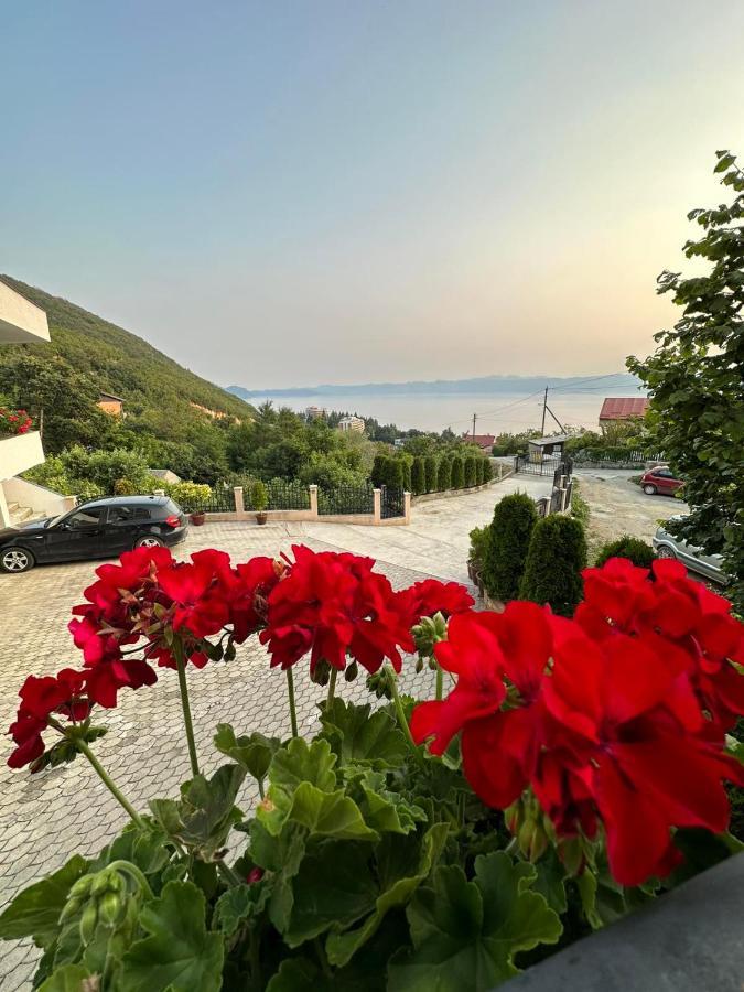 Villa Stefanoski Konjsko Exterior foto